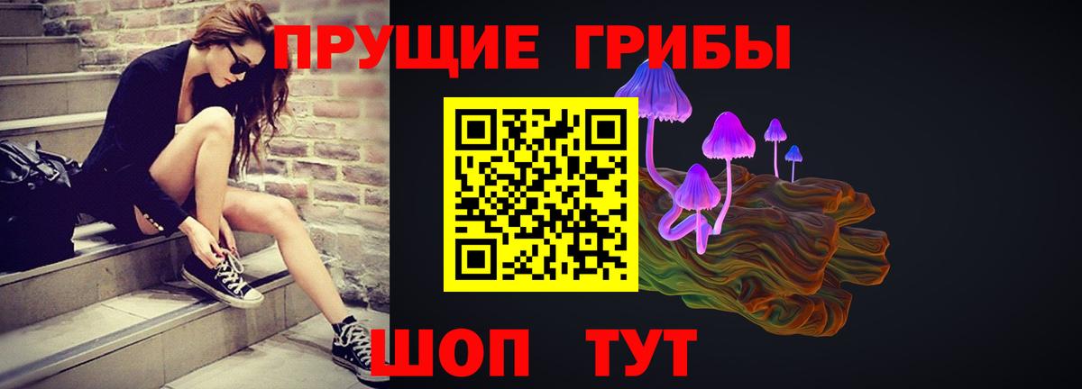 Псилоцибиновые грибы мицелий Дальнереченск